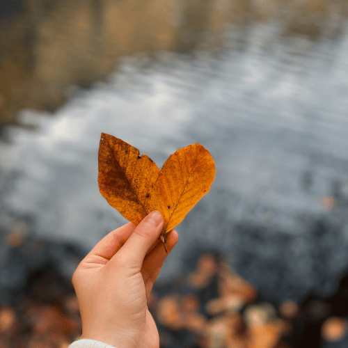 Herfst- en winterhuid: waarom je huid in de herfst verandert